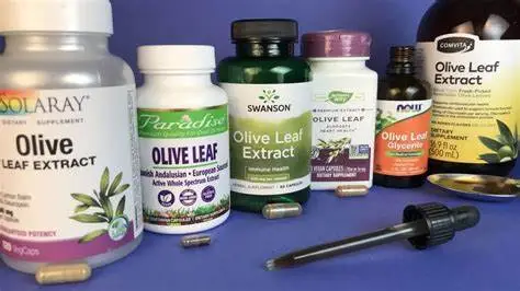 application of Olive leaf extract